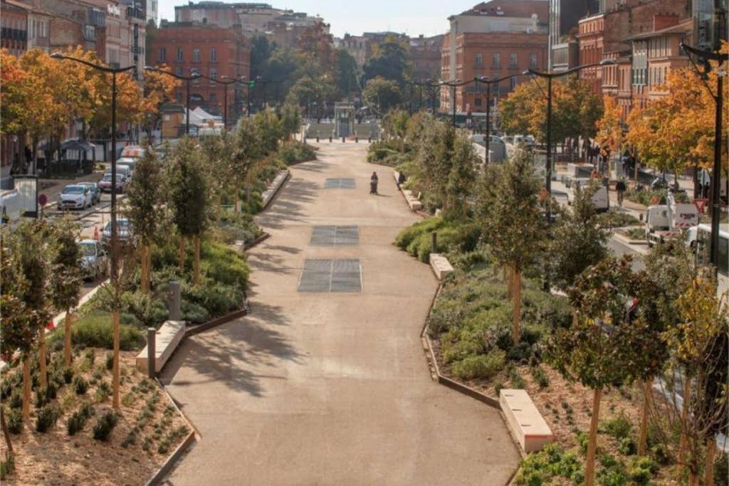 Canal Du Midi, Cosy City Center Apt, Train Station Тулуза Экстерьер фото